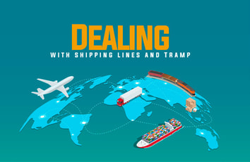 الخطوط الملاحية وشركات إيجار السفن